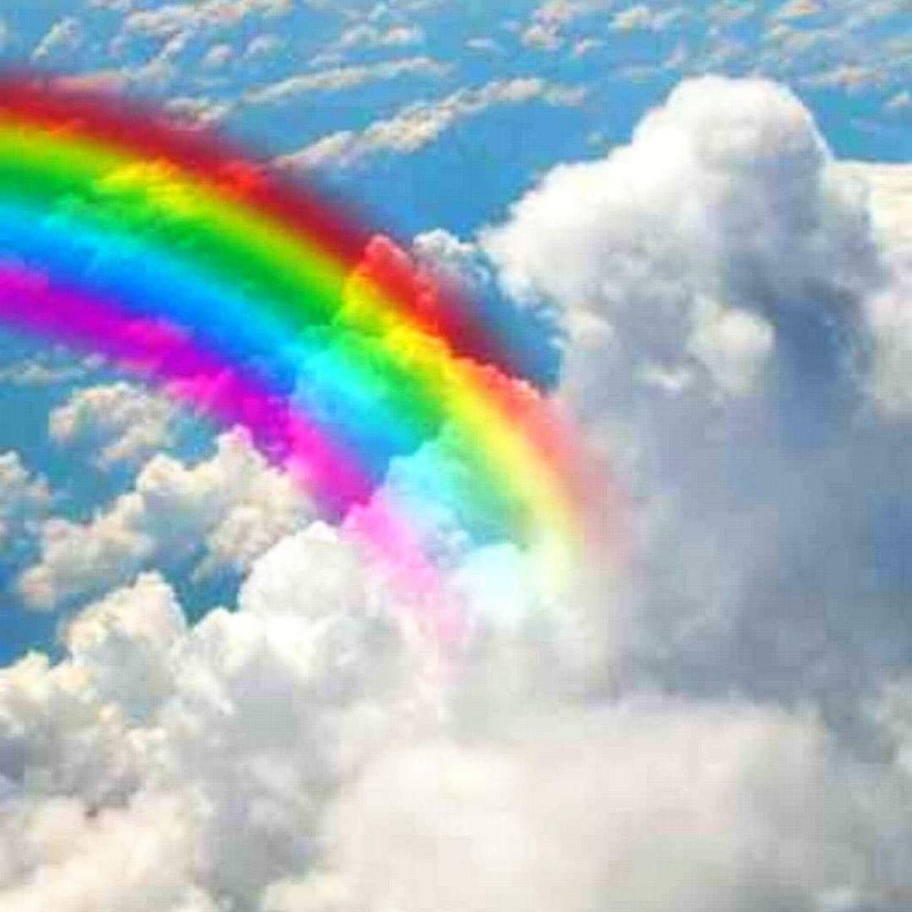 Meet your Posher, Dorathy